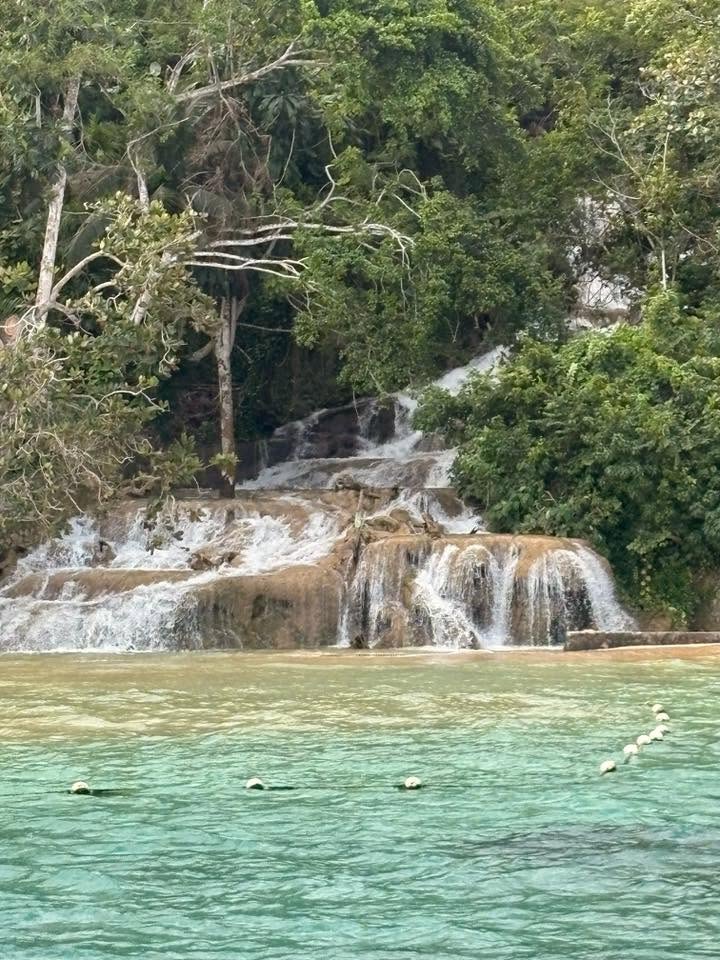 Dunns River Falls